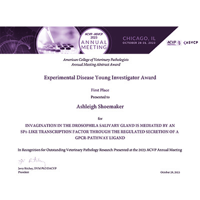 Congratulations to Ashleigh Shoemaker for receiving the first place 2023 Experimental Disease Young Investigator Award
