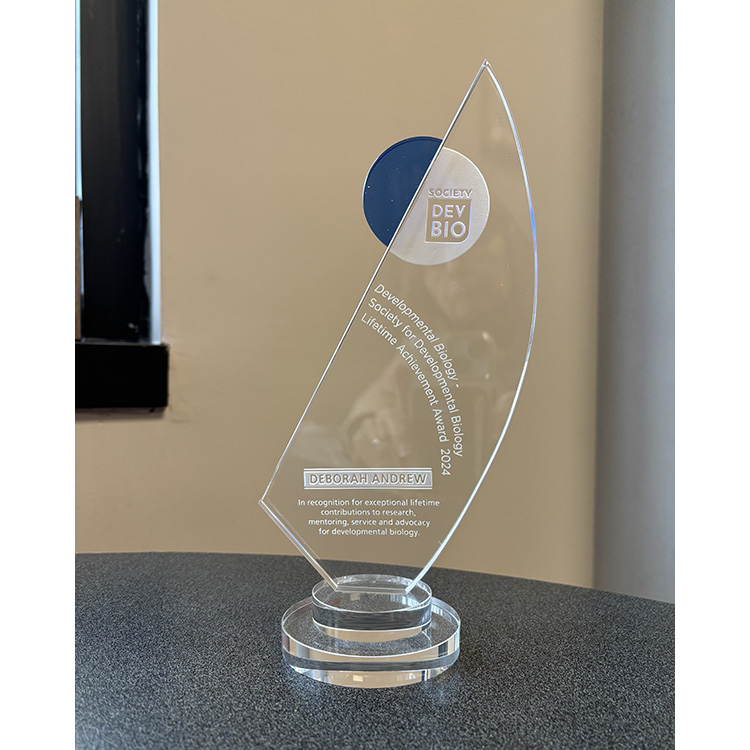 Debbie receives Lifetime Achievement Award from Developmental Biology and the Society for Developmental Biology